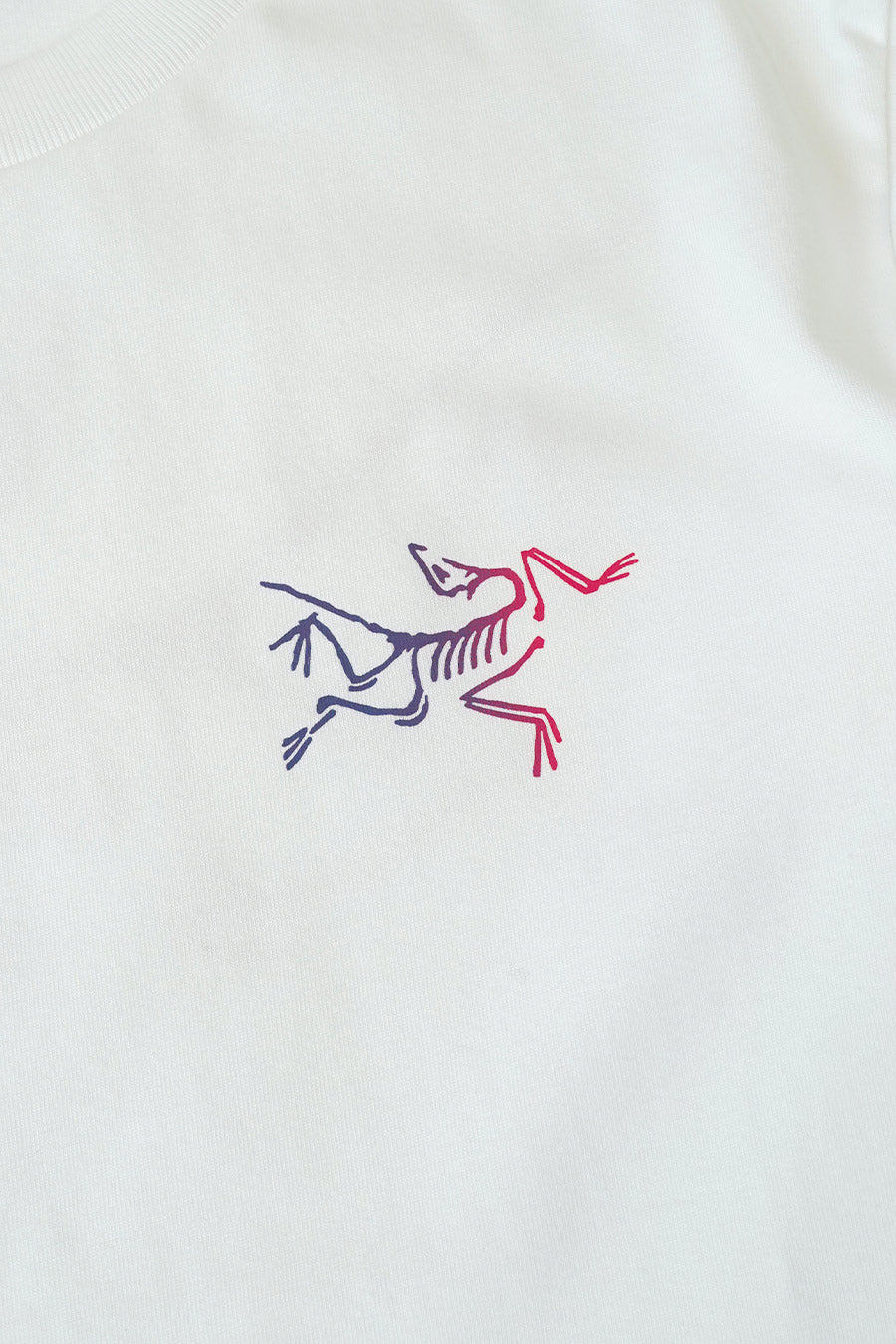 Arc'teryx - T-SHIRT KRAGG BLANC - LE LABO STORE