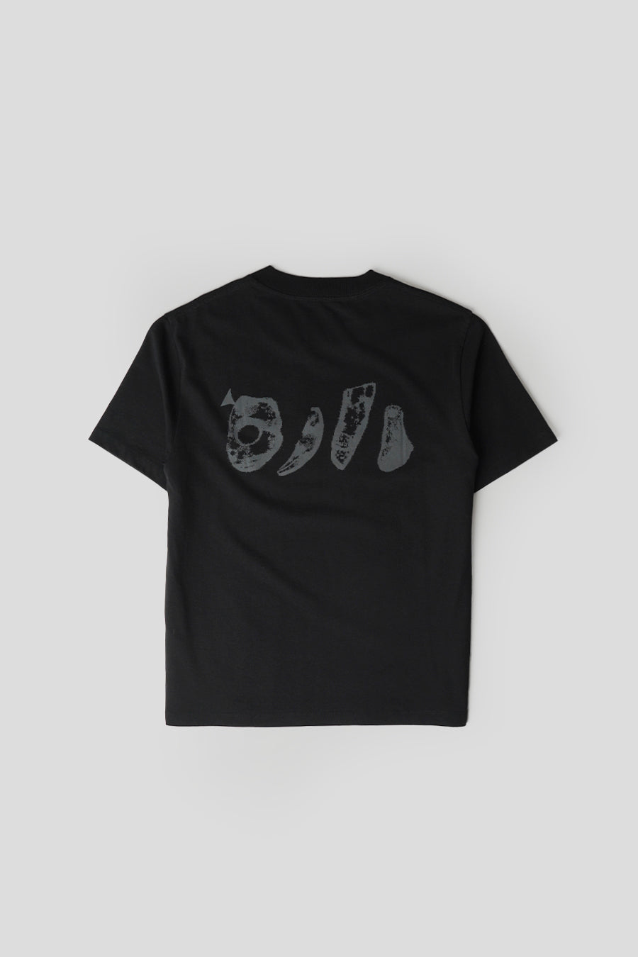 ROA HIKING - T-SHIRT BOXY GRAPHIC NOIR - LE LABO STORE